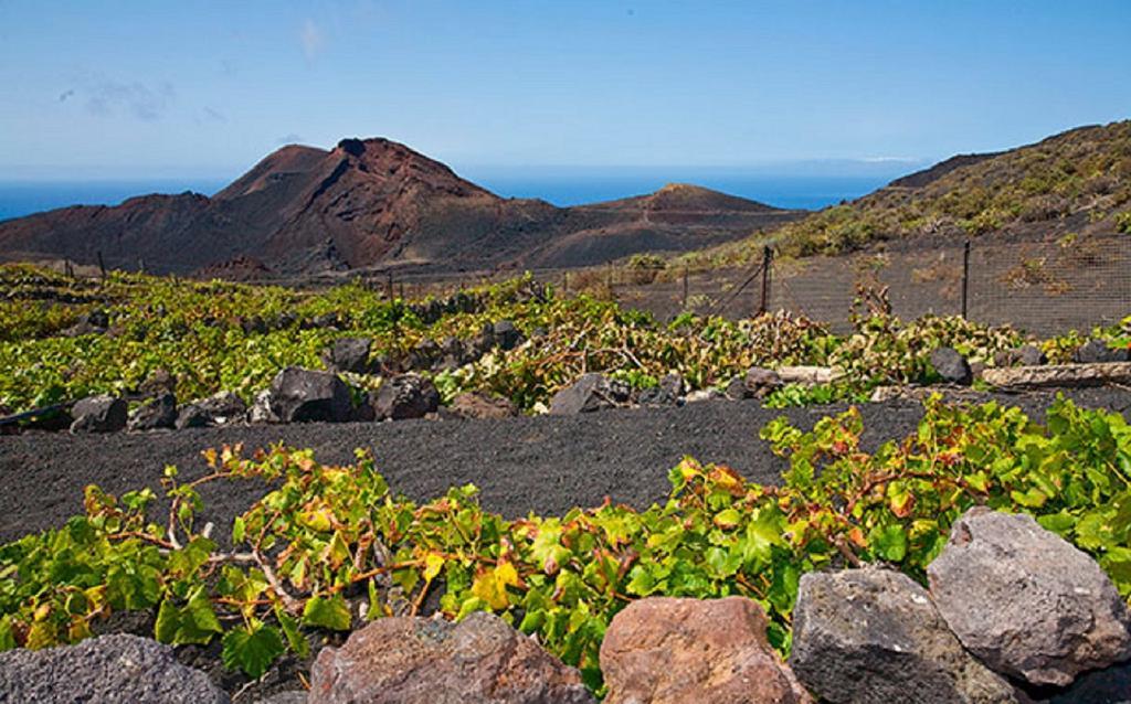 La Palmerita Vacacional Лос-Льянос-де-Аридане Экстерьер фото